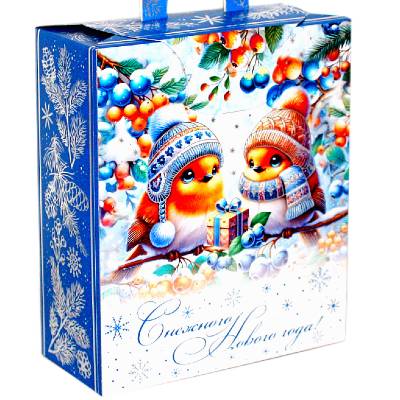 Детский подарок на Новый Год в картонной упаковке весом 800 грамм